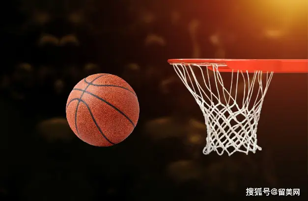 除美国外拥有nba球员最多的国家_拥有nba国际球员的国家排名_nba有外国人吗