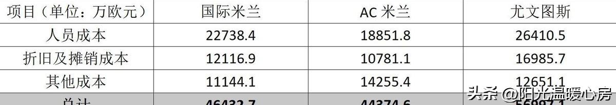 亏损意甲球队赔偿_意甲球队亏损_亏损意甲球队怎么办